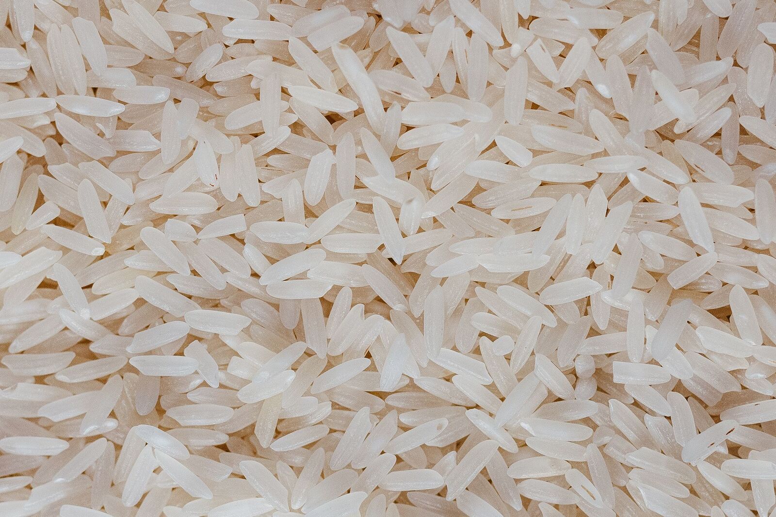 Raw long-grain rice